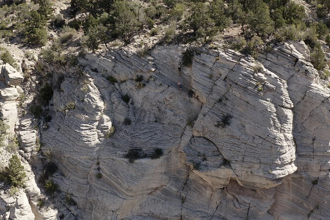 Tallest in Utah" via Ferrata & Rappelling (4 Hr) - Experience the Thrill of Rappelling