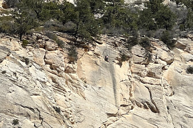 Tallest in Utah" via Ferrata & Rappelling (4 Hr) - Breathtaking Views of Southern Utah