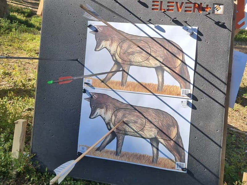 Tallinn: Beginner Archery Class with Transfer - What to Expect from the Tallinn Beginner Archery Class