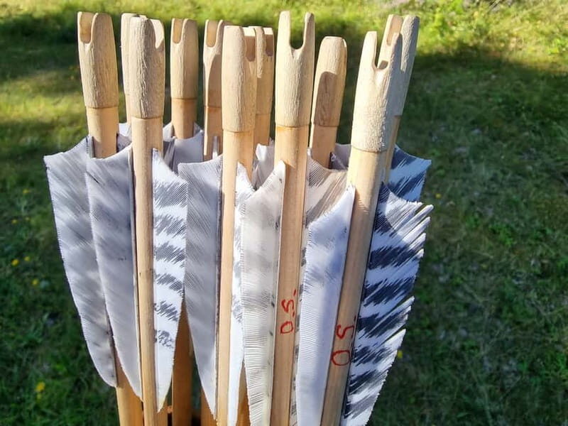 Tallinn: Beginner Archery Class with Transfer - The Variety of Bows and Learning Opportunities