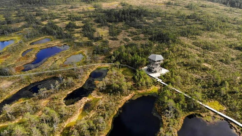 Tallinn: Best Estonian Nature Trails in a Day Guided Tour - Who Is This Tour Best For?