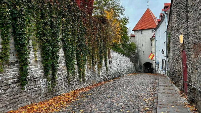 Tallinn: Guided Old Town Historical Walking Tour - The Experience of a Guide: What Travelers Say