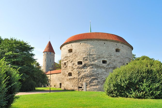Tallinn Highlights and Marzipan Painting Masterclass - Tallinn Old Town Exploration