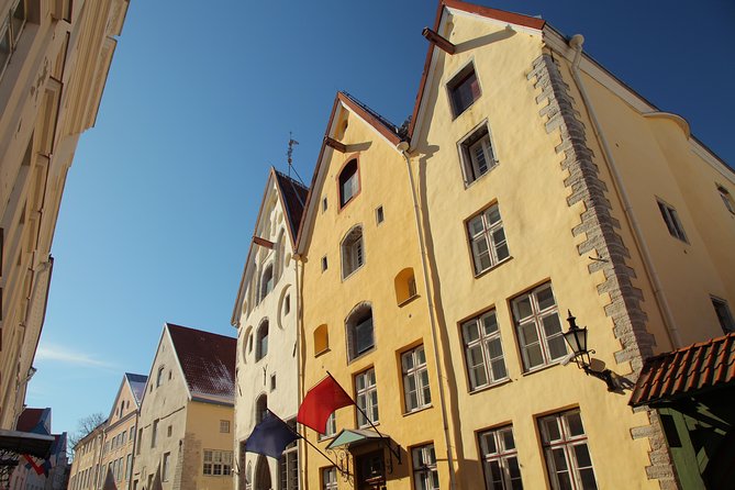 Tallinn Highlights and Marzipan Painting Masterclass - Marzipan Painting Masterclass