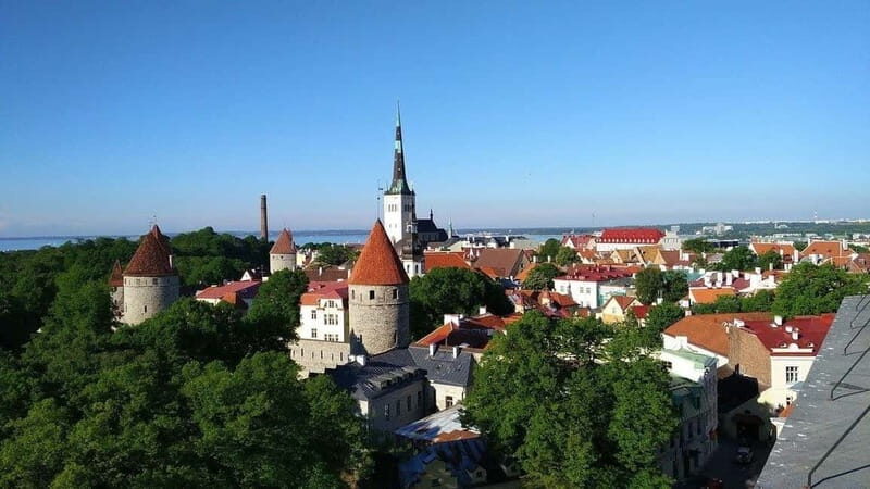 Tallinn Tour: Medieval Majesty & Modern Marvels - Why Choose This Tour?