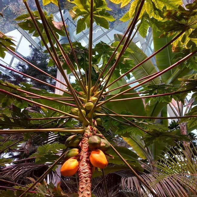 Tallinn TV tower and Botanic garden (a tour with a guide) - A Deep Dive into the Tour Experience