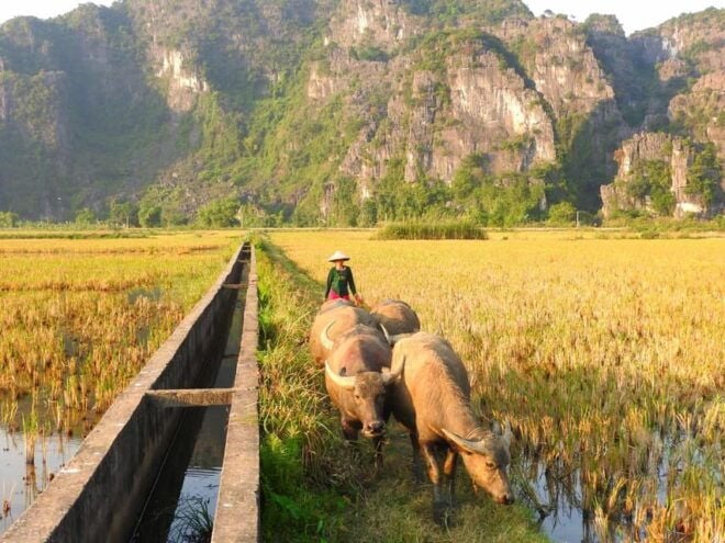 Tam Coc - Bich Dong - Bird Valley Bike Tour - Inclusions and Exclusions