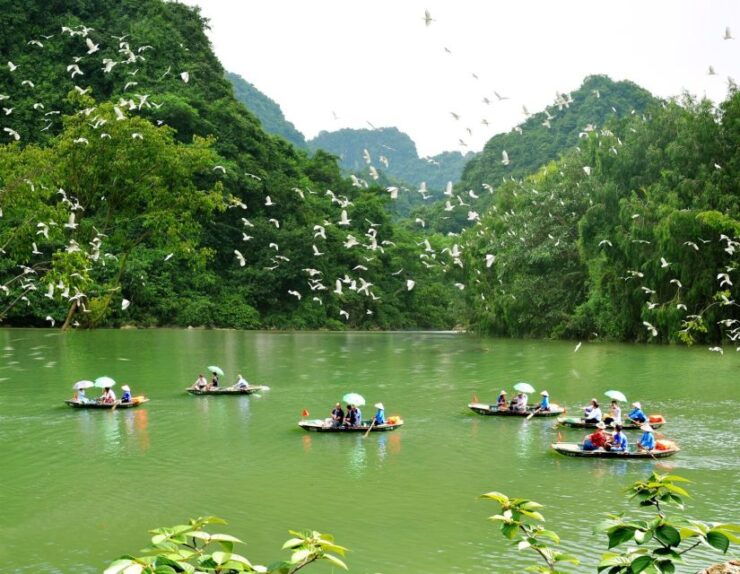 Tam Coc - Bich Dong - Bird Valley Bike Tour - Full Description of Tour