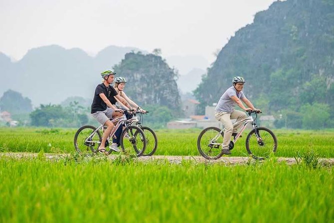 Tam Coc Boat Ride - Hoa Lu Ancient & Mua Point View (Small Group) - Mua Caves Viewpoint