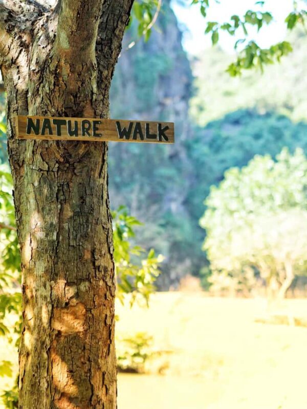 Tam Coc: Dundj Cave Boat Trip & Hidden Valley Experience - Tam Coc: Dundj Cave Boat Trip & Hidden Valley Experience