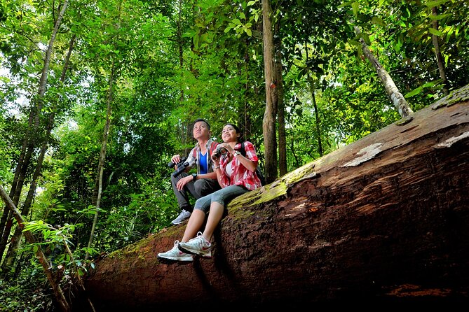 Taman Negara Day Trip From Kuala Lumpur With Lunch - Transportation Details