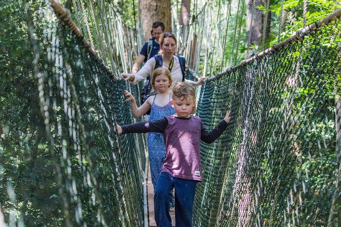 Taman Negara National Park Tour With Local Guide and Canopy Walk - Pickup Information