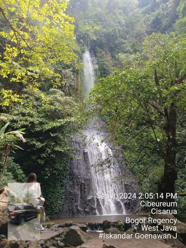 Taman Safari and Tea Plantation Tour at Puncak - Why This Tour Offers Good Value