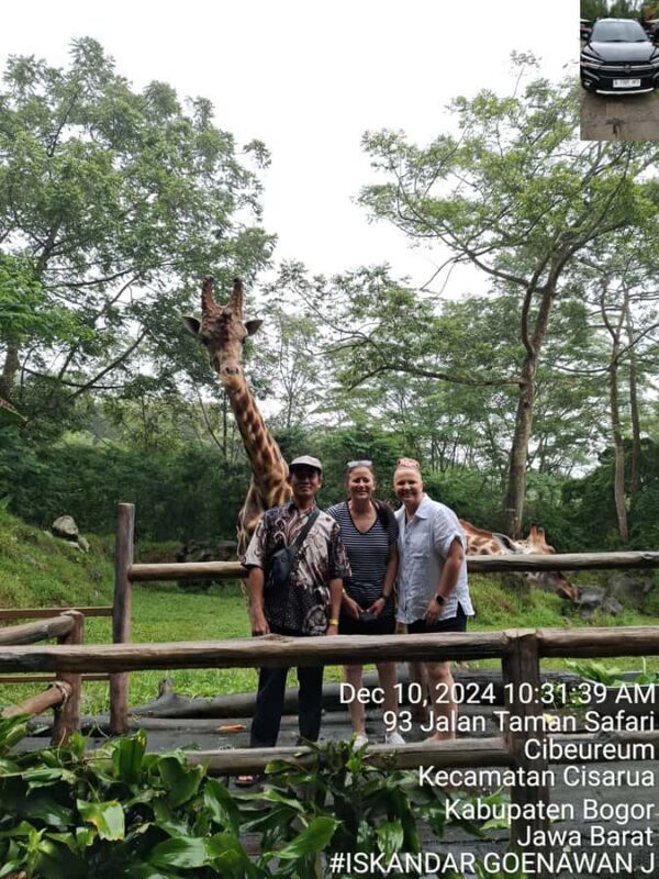 Taman Safari and Tea Plantation Tour at Puncak - Final Thoughts: Is This Tour Worth It?