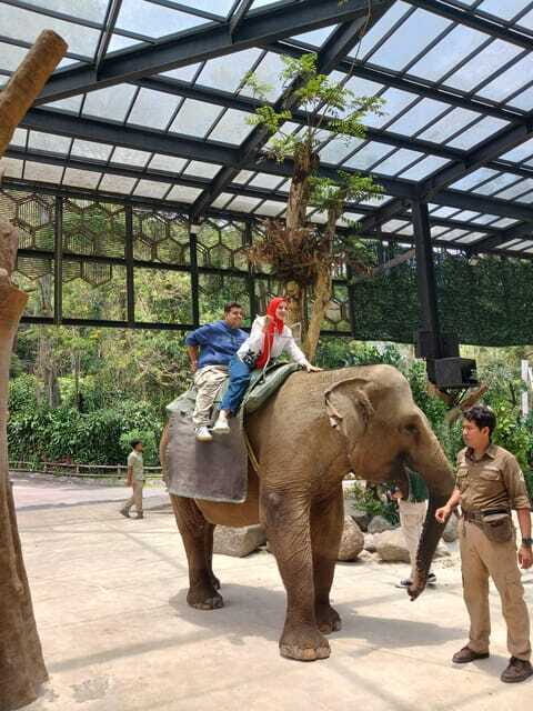 Taman Safari and Tea Plantation Tour at Puncak - FAQ