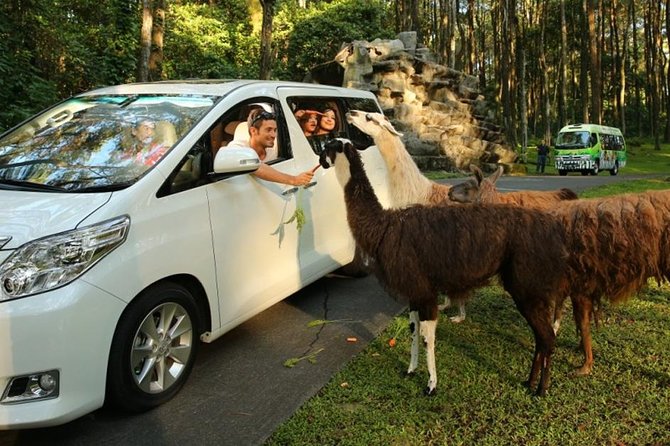 Taman Safari Private Tour and PutukTruno Waterfall - Customer Reviews
