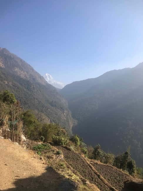 Tamang Heritage Trekking  10 Days - The Full Experience: What to Expect on the Tamang Heritage Trek