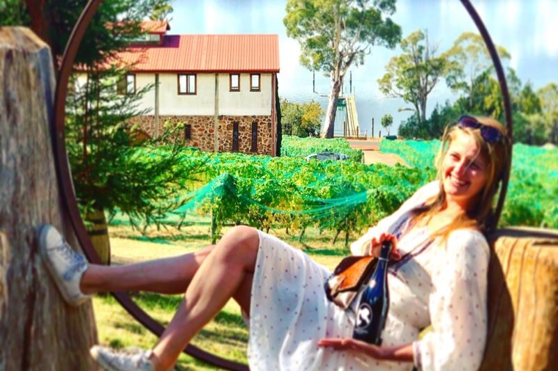 Tamar Valley Discovery Wine Tour with Lunch - Three or four cellar doors, three different perspectives