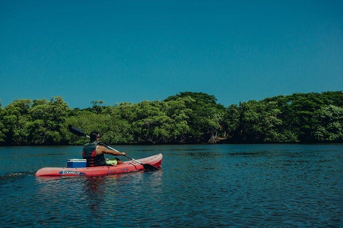 Tamarindo Kayak Estuary Mangrove Tour - Pricing and Inclusions