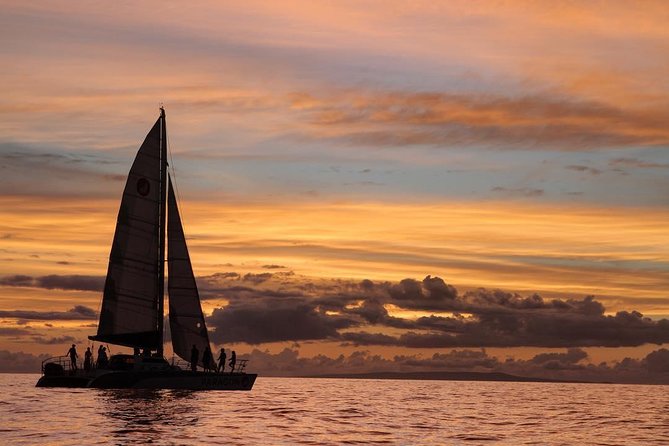 Tamarindo Sunset Cruise With Snorkeling, Open Bar, Transfers  - Playa Flamingo - Snorkeling Experience