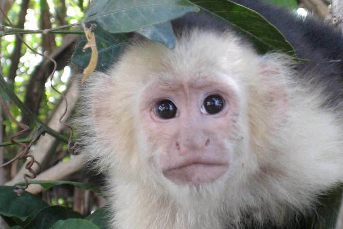 Tamarindo to Palo Verde National Park Riverboat Cruise (Feb ) - Booking Information and Policy