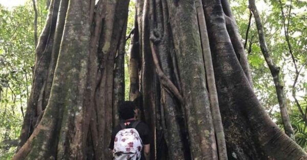 Tamblingan Lake Jungle Trekking & Lake Paddeling - Essential Packing List