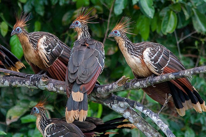 Tambopata Adventure Tour 03 Days - Frequently Asked Questions