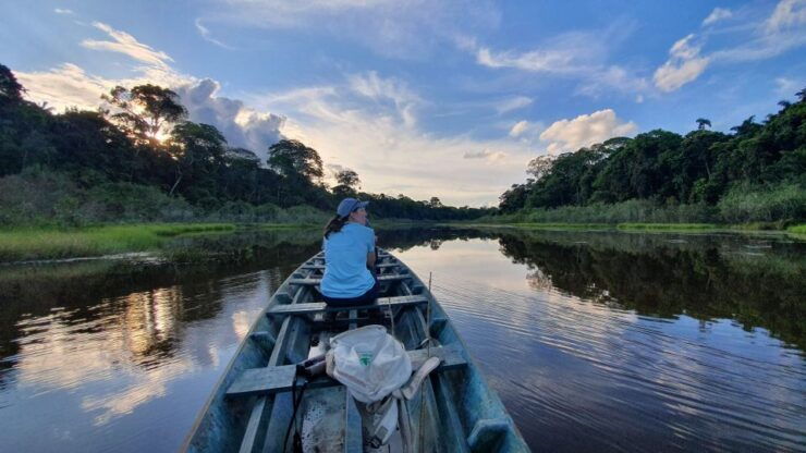 Tambopata All in One - Activities and Wildlife Spotting
