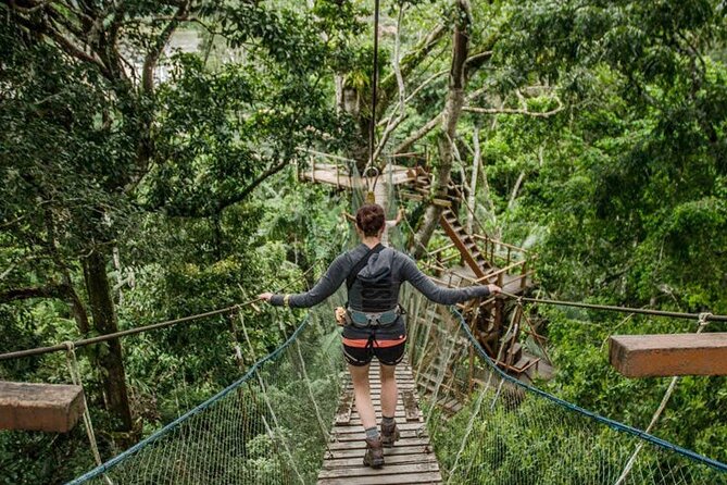 Tambopata Jungle Adventure Tour 4 Days - Wildlife and Nature Experience