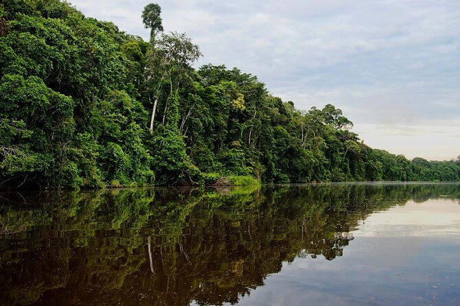 Tambopata Jungle Adventure Tour 4 Days - Common Questions