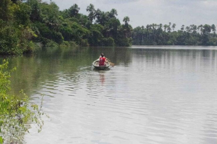 Tambopata: Lake Sandoval Canoeing With Lunch - Inclusions and Highlights