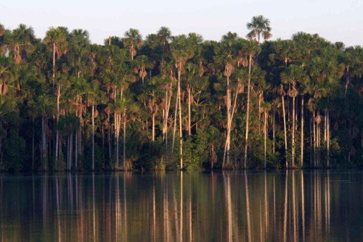 Tambopata National Reserve 4 Days - Day 1 Itinerary Highlights