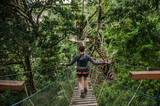 Tambopata National Reserve Tour 4 Days From Cusco - Important Information and Requirements