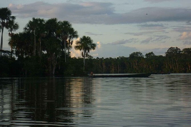 Tambopata National Reserve Tour 4 Days From Cusco - The Sum Up