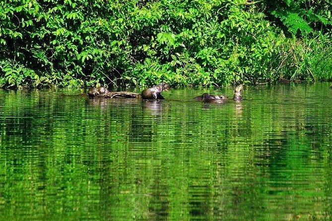 Tambopata (Puerto Maldonado) 4 Days - Common Questions