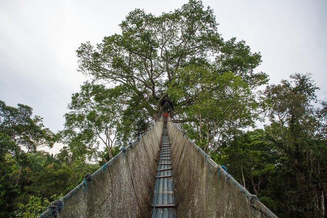 Tambopata. Sandoval Lake and Parrot Clay Lick, 3 Days 2 Nights - Accommodation Details