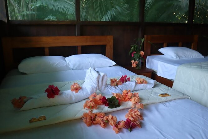 Tambopata. Sandoval Lake and Parrot Clay Lick, 3 Days 2 Nights - The Sum Up