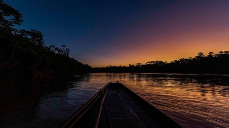 Tambopata: Search for Caimans in the Amazon Night Tour - Inclusions