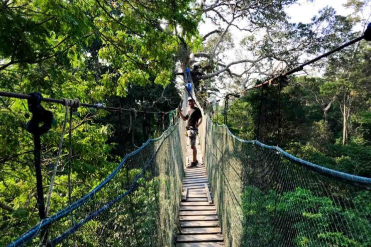 Tambopata: Zipline Adventure & Kayak to Monkey Island - Activity Details