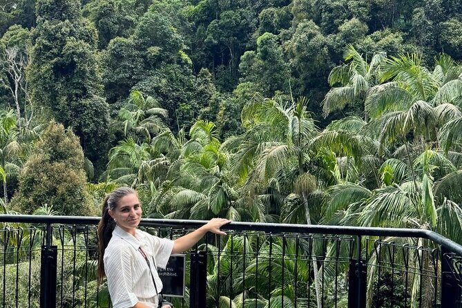 Tamborine Explorer from Brisbane - Good To Know