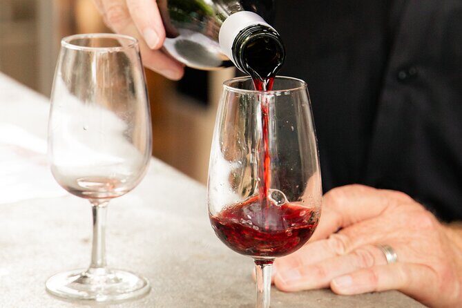 Tamborine Explorer from Brisbane - Overall Value and Experience