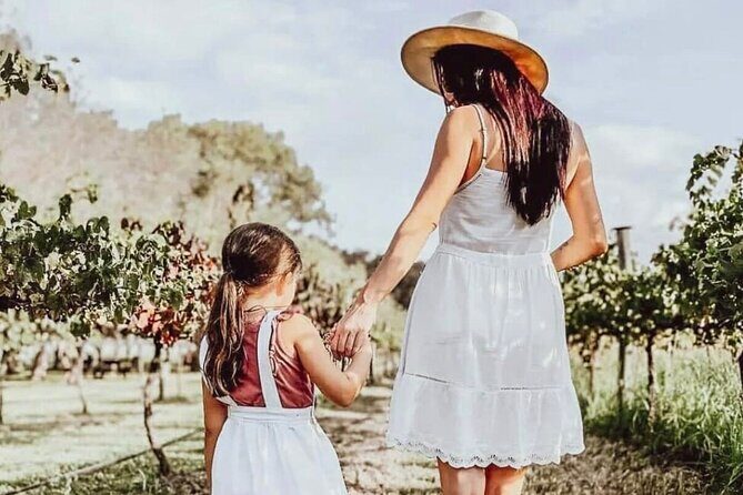 Tamborine Mountain - Hop On Hop Off - From Brisbane - Final Thoughts