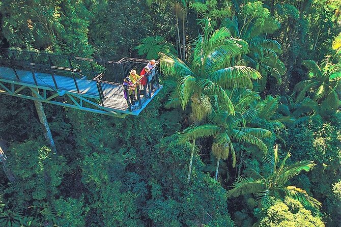 Tamborine Mountain Shuttle From Helensvale Station, Gold Coast - Shuttle Service Overview