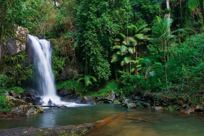Tamborine Mountain Shuttle From Helensvale Station, Gold Coast - Shuttle Stops and Attractions