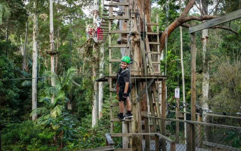 Tamborine Mountain: TreeTop Challenge Adrenaline Pass - Good To Know