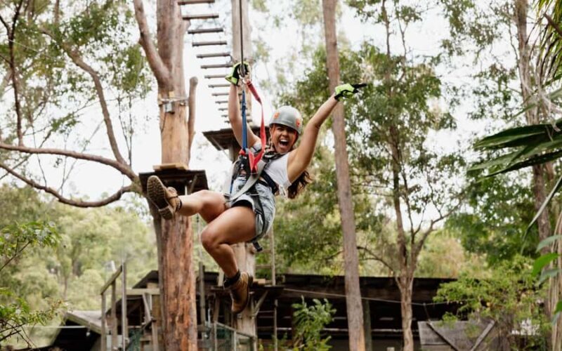 Tamborine Mountain: TreeTop Challenge Adventure Park - Good To Know