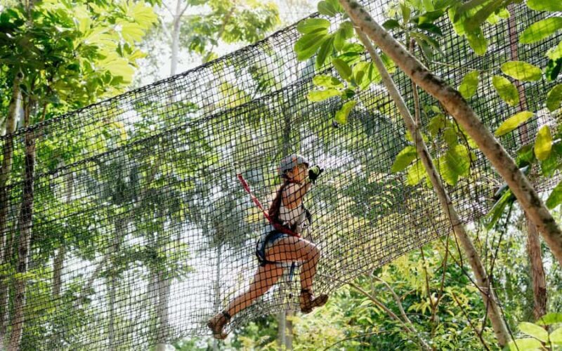 Tamborine Mountain: TreeTop Challenge Adventure Park - The Experience: What to Expect at Tamborine Mountain’s TreeTop Challenge