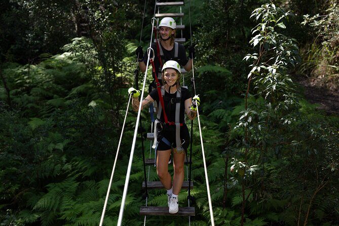 Tamborine Mountain TreeTop Challenge Adventure Park - Good To Know