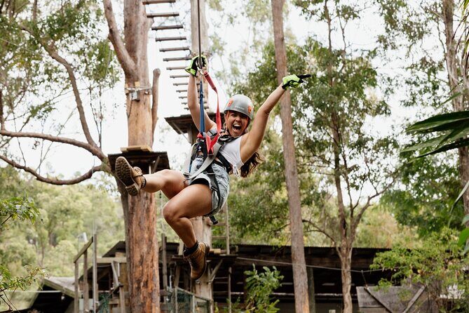 Tamborine Mountain TreeTop Challenge Adventure Park - How The Reviews Enhance Your Understanding