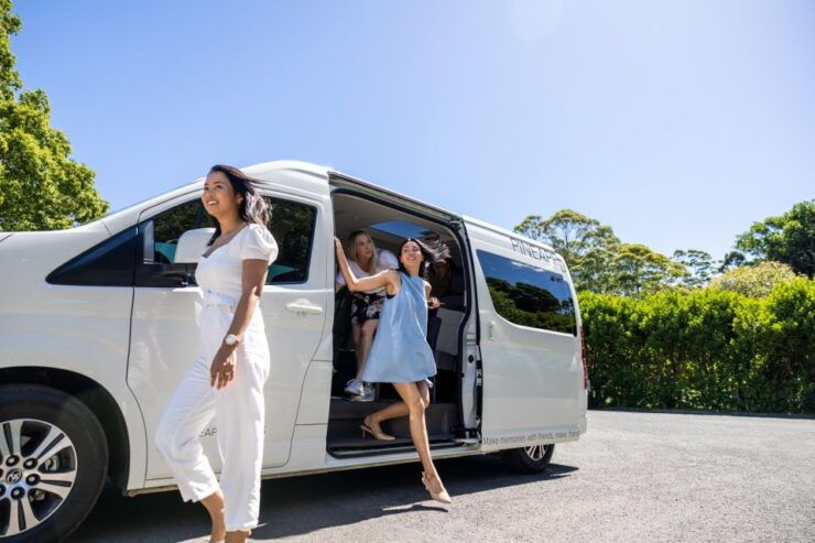 Tamborine Mountain Wine Tasting and Hop on Hop off Tour - Pickup Information